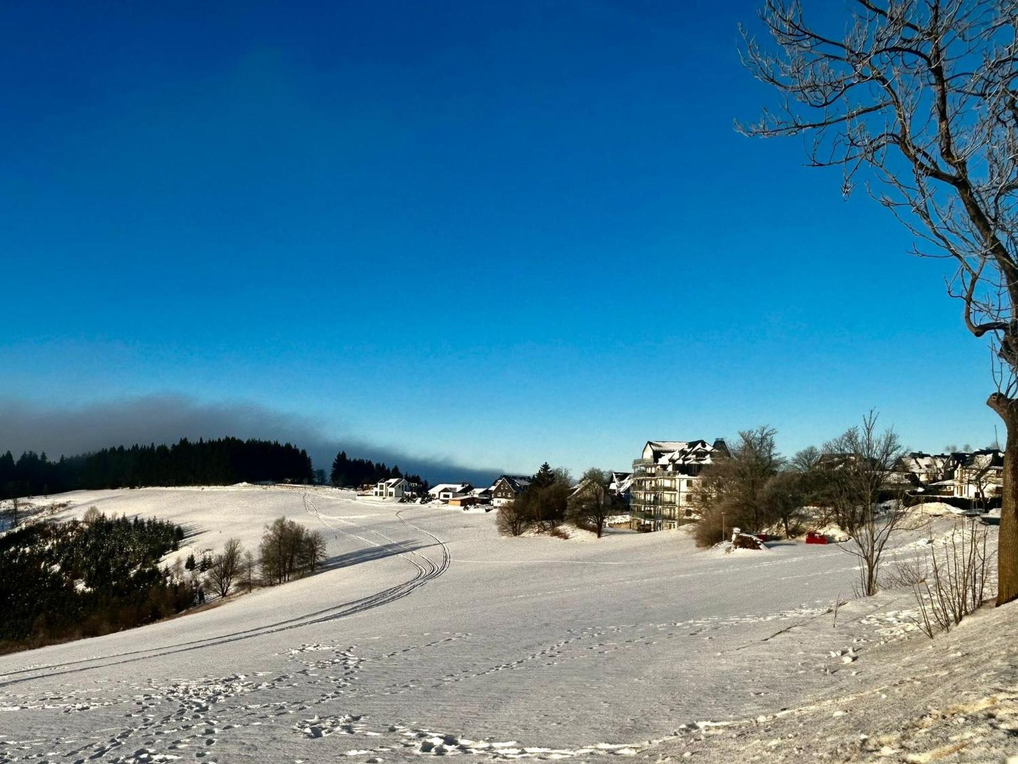 Astenblick Apartments Winterberg With Sauna Kültér fotó